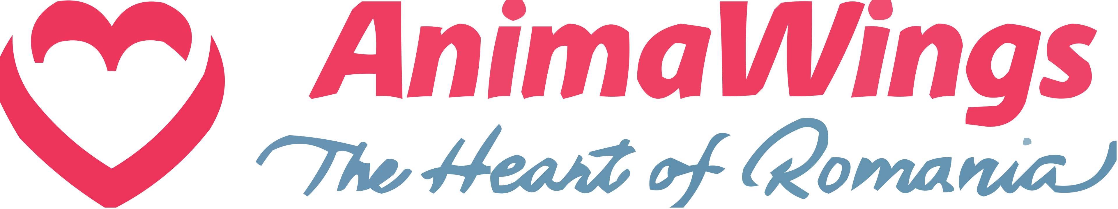 Animawings